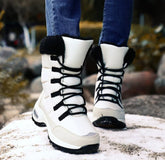 Bota Neves
